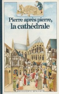 Couverture d’ouvrage : Pierre après pierre, la cathédrale